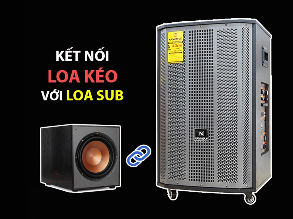 Không phải loa kẹo kéo nào cũng kết nối được với loa sub